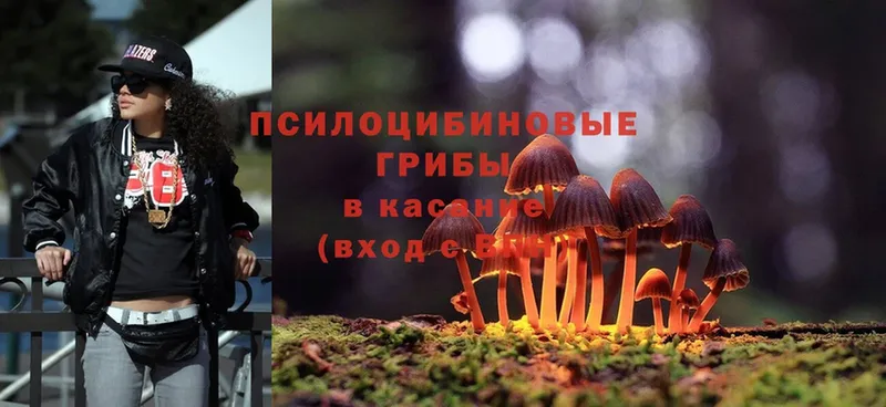 МЕГА зеркало  Арск  Псилоцибиновые грибы Magic Shrooms 